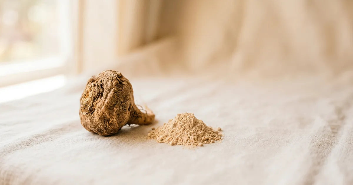 Maca root for women