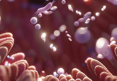 Probiotics 101: The Good Bacteria Revolution