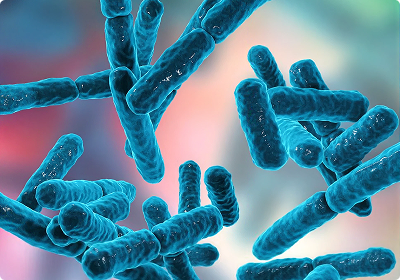 Probiotics 101: The Good Bacteria Revolution