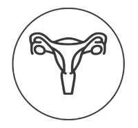 Cycle Regulation & Ovulation