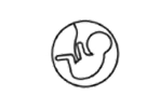 Implantation Support